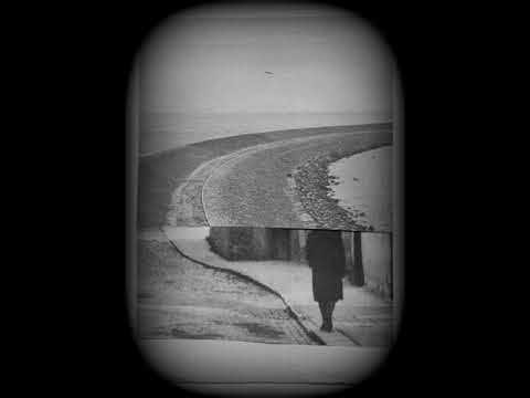 asita hamidi & bazaar