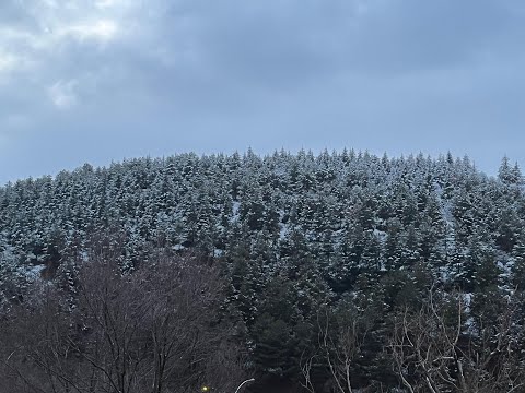 NORTH WIND | CINEMATIC NATURE – SNOW, FOREST & CLOUDS (3 HOURS)
