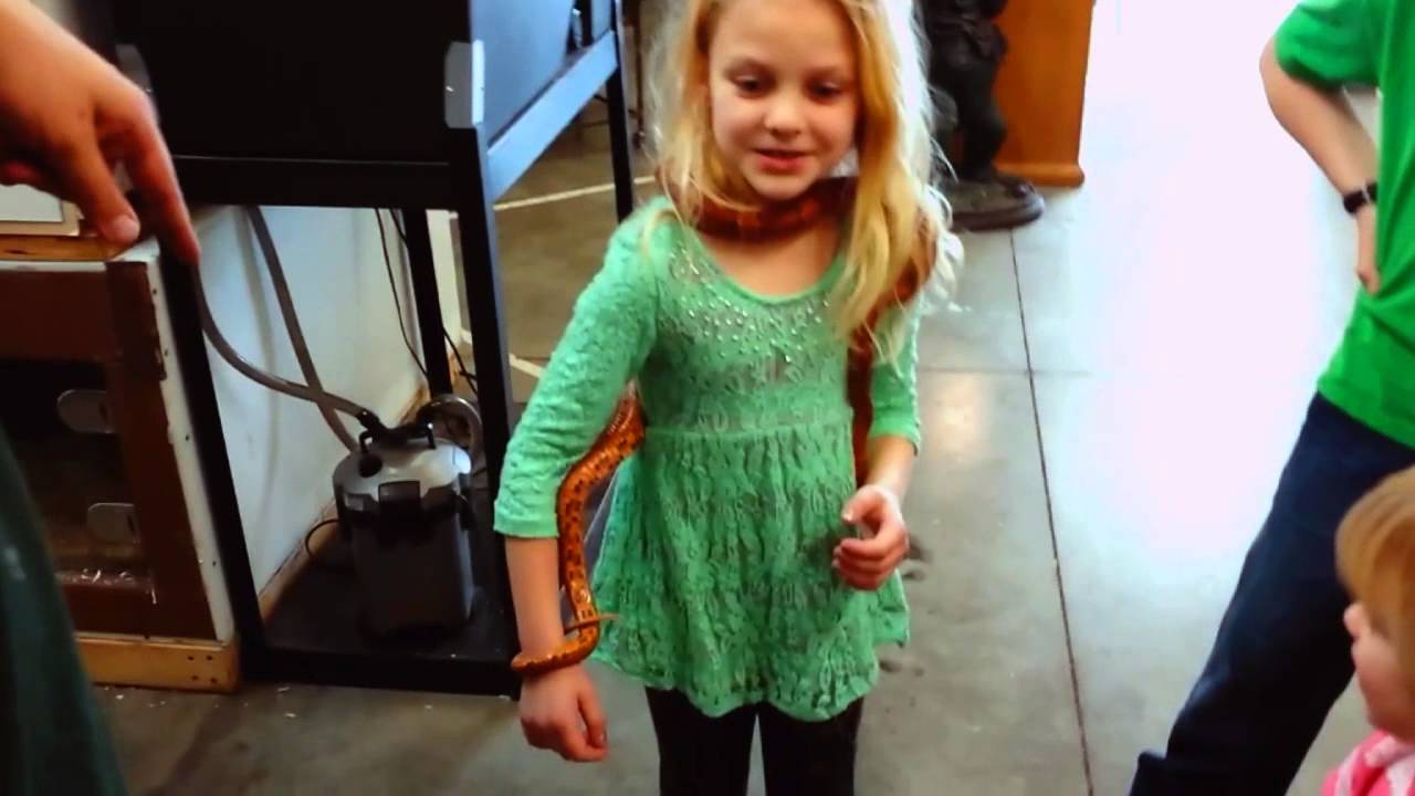 Hire Scales & Tails Utah, Inc. Children’s Party Entertainment in Salt