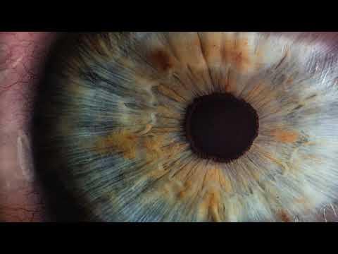 BOg, GHEIST - Venere (Fideles Remix)