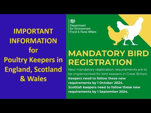 Mandatory Poultry Registration changes for England, Scotland & Wales 2024