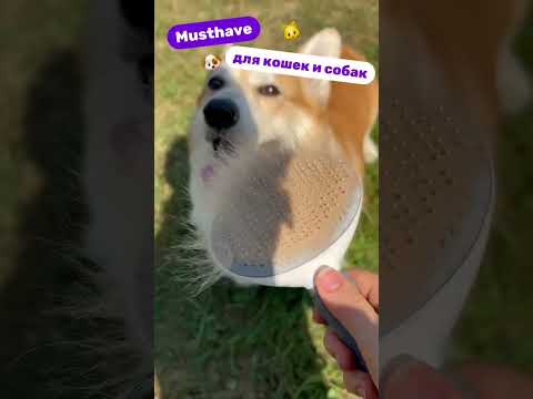 Миниатюра изображения товара Пуходерка для животных Pet Paws 640500245A (серый)