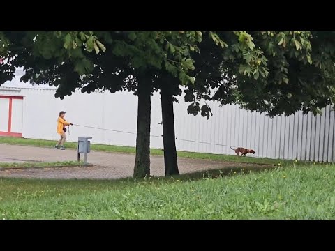 Was ist ein Flip und wann nutzt man ihn?