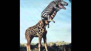 State Radio - Right me up