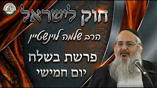חוק לישראל - פרשת בשלח - יום חמישי | הרב שלמה לוינשטיין (ארגון קול הלשון) - התמונה מוצגת ישירות מתוך אתר האינטרנט יוטיוב. זכויות היוצרים בתמונה שייכות ליוצרה. קישור קרדיט למקור התוכן נמצא בתוך דף הסרטון
