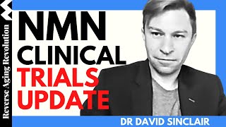 DAVID SINCLAIR "NMN Clinical Trials Update" | Dr David Sinclair Interview Clips