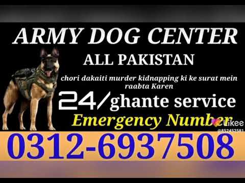 Army Dog Center Lahore emergency number for 0302-4901922(1)