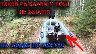 Отчет о рыбалке с липовского озера