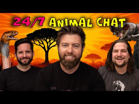 24/7 Animal Learning and Fun w/ Forrest Galante & The Wild Times Crew