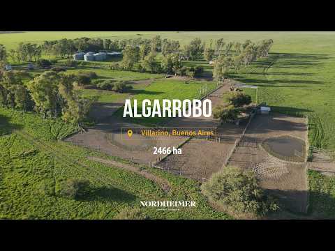 Algarrobo, Villarino, Buenos Aires - 2466 ha | Campo en venta