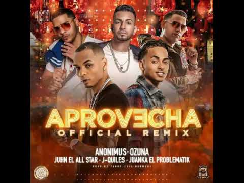 Anonimus Ft. Ozuna Juhn Justin Quiles Y Juanka - Aprovecha (Remix)