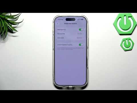 How do I enable or disable data roaming on iPhone 17?