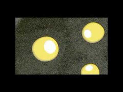 Pantea Razzaghi Reel