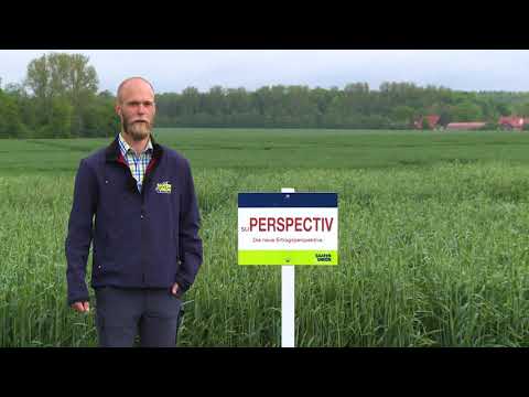 Saaten-Union: Hybridroggen SU PERSPECTIV, Produktmanager Daniel Husmann, Standort Leopoldshöhe