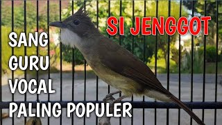 Download lagu Masteran Wajib Burung Ocehan || Cucak Jenggot Gacor mp3 Download lagu Masteran Wajib Burung Ocehan || Cucak Jenggot Gacor mp3