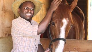 Blazed N Loaded - The Horse Dilemma