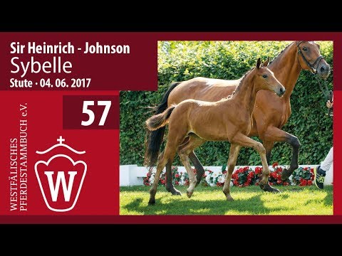 57 Sybelle SF v. Sir Heinrich - Johnson
