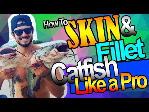 How To Skin and Fillet a Catfish Like a Pro | Josh Bendoski Power Fishing Tips Utah