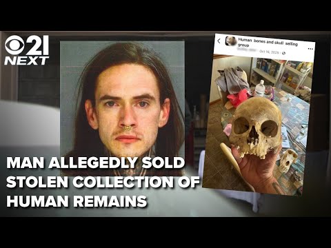 Alleged grave robber sold stolen human remains online from PA home: 21 Next