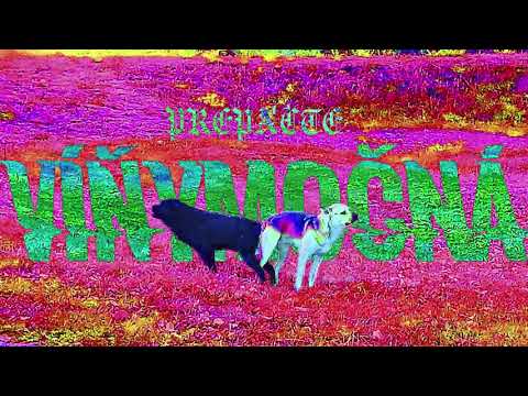 Video thumbnail for DMS - Víňymočná