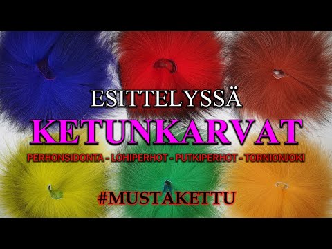 Ketunkarvat - Putkiperhon Perhonsidontaan ( Lohiperhot - Oulu Perhonsidonta - Tornionjoki - Kettu )