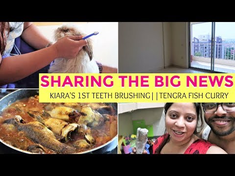Sharing The Big News | Puppy Brushing Teeth For First Time | Yummy Fish Recipe Video