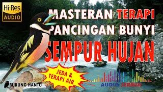 Download lagu Suara Burung Sempur Hujan Darat Cocok Untuk Masteran Dan Pancingan Bunyi mp3 Download lagu Suara Burung Sempur Hujan Darat Cocok Untuk Masteran Dan Pancingan Bunyi mp3