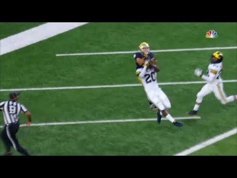 Notre Dame's Chris Finke Makes Incredible Catch Vs. Michigan 2018