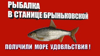 Рыбалка хутор труд в каневском районе