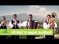 Alfi Nipič In Njegovi Muzikanti Se Pohorje Vidi Official HD Video