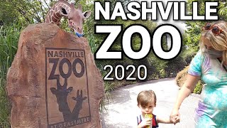 Nashville ZOO 🐒 2020