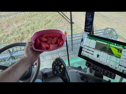 Colheita lagoa da confusão Tocantins 2025 4º estado do ano 2025