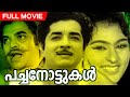 Malayalam Full Movie Pachanottukal Old Movie Ft Prem Nazir Vijayasree