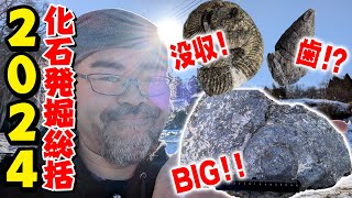 2024年 化石発掘総括 2024 Fossil hunting summary