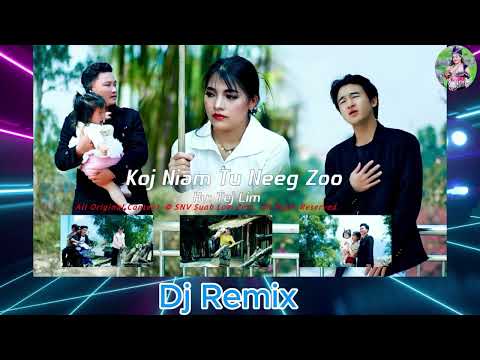 DJ Koj Niam Tus Neeg Zoo By Tej Lim Lauj