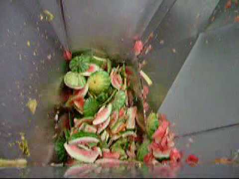 seepex BTI pump melon rinds