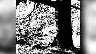 My Mummy's Dead (l e g e n d a d o)   Plastic Ono Band