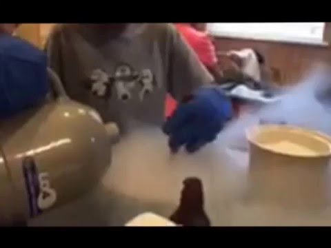 Liquid Nitrogen Icecream