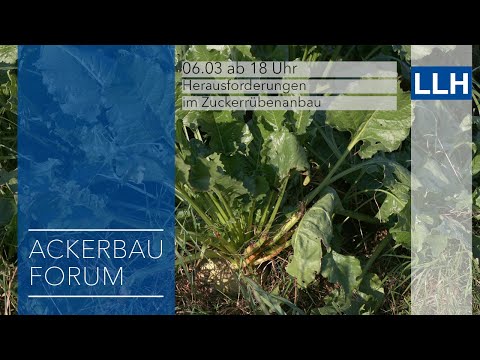 Digitales Ackerbau Forum - Herausforderungen im Zuckerrübenanbau