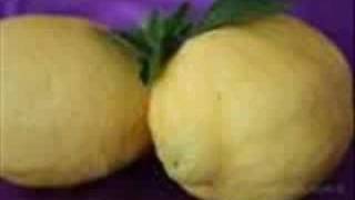 Download lagu Bunga Cinta Nista - Lemon-T mp3 Download lagu Bunga Cinta Nista - Lemon-T mp3