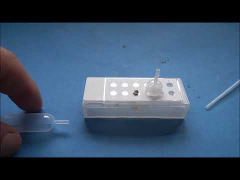 LAB in a DROP Die Carbidlampe im Tropfenexperiment