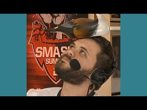 Hungrybox with the God Tier Mafia Mind Games