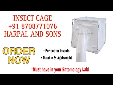 Insect Rearing Cage