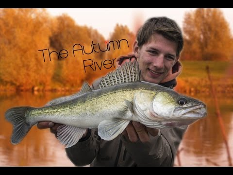 The Autumn River - Pescando nos rios holandeses II - Filme completo