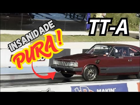 Categoria TT-A. Insanidade Pura! ( Category TT-A. Pure Insanity! )