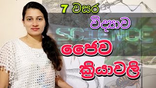 Science | Grade 7 Science 12th Lesson - ජෙෙව ක්‍රියාවලි Biological Processes 7 වසර විද්‍යාව 12 පාඩම