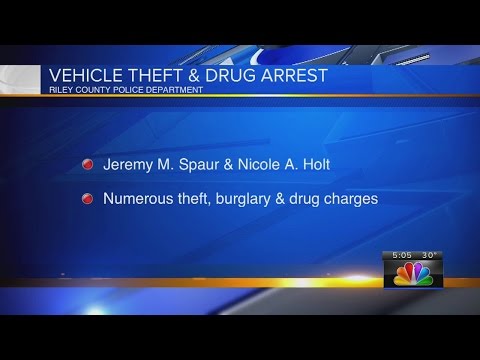 2 arrested in Manhattan for vehicle thefts