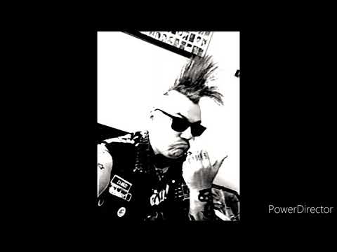 Slebbez - Me myself and i (baboon show cover)