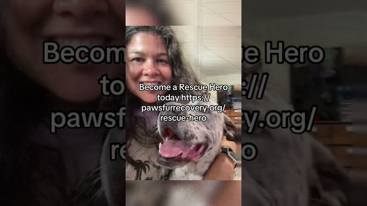 Enlarge INKY, a Adoptable mixed breed in Indiantown, FL video 2/6