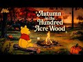 Cozy Fall Campfire With Pooh Bear Hundred Acre Wood Autumn Ambience